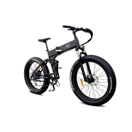 Raptor fat bike sales