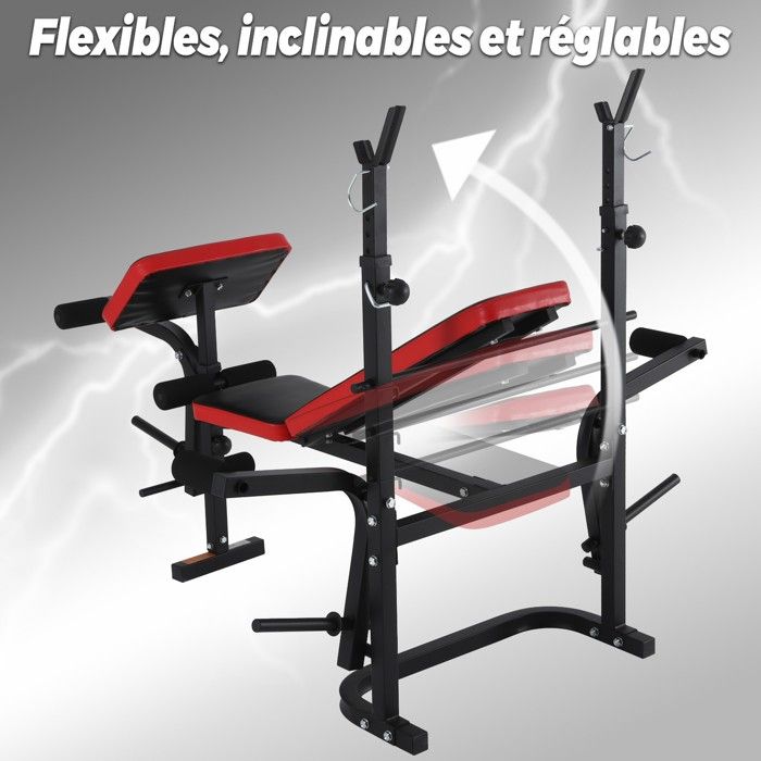 Banc De Musculation Pliable Réglable 9 Positions - Charge Max 300 Kg - Multifonction Pour Entraînement Maison