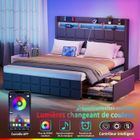 Lit 140x190 CM avec 4 Tiroirs - NHHF - avec LED et USB - Lit Coffre avec Rangement - Lit 2 Personnes avec sommier - Métal - Gris