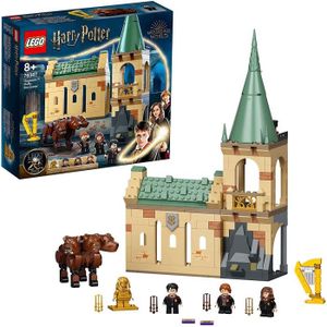 ASSEMBLAGE CONSTRUCTION LEGO 76387 Harry Potter Poudlard  Rencontre avec T