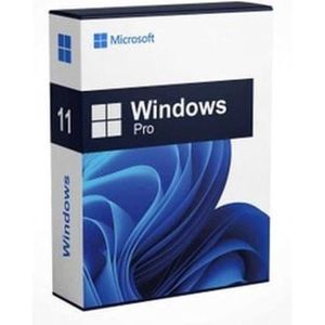 SYST EXPLOIT À TÉLÉCHARGER Clé de licence Windows 11 Pro - licence à VIE - à 