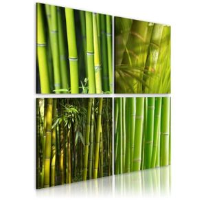 Details about IMAGE SUR VERRE TABLEAUX bambou vert Asie 30 FORMES FR 3558 Details about IMAGE SUR VERRE TABLEAUX bambou vert Asie 30 FORMES FR 3558