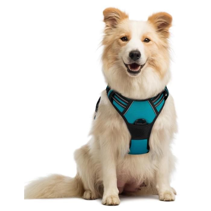 Meilleurs prix pour rabbitgoo Harnais Chien M Arnais Vert Foncé Anti Traction Réfléchissant Gilet Réglable pour Chien Attache Devant Crochet de Laisse