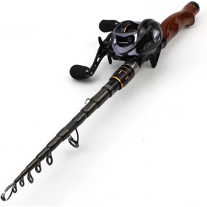 Canne à pêche télescopique professionnelle de 1,8 à 2,7 m + de pêche avec combinaison
