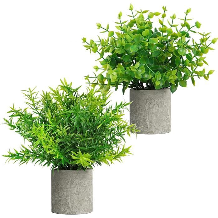 5 Mini Plantes Artificielles D'intérieur - Succulentes, Aloe Vera, Agave (couleur Brune)