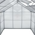 Serre de jardin en aluminium 250 x 185 x 195 cm avec polycarbonate - Noir - Rectangulaire-2