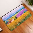 Tapis De Sol Vintage Peinture Daim Paillasson Decoration De La Maison Exterieur Cuisine Tapis Salle De Type 7 400mm X 600mm Achat Vente Tapis Bientot Le Black Friday Cdiscount