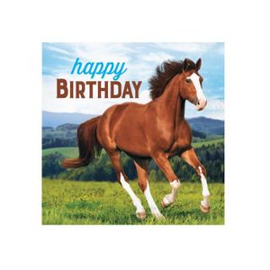Anniversaire Theme Cheval Cdiscount