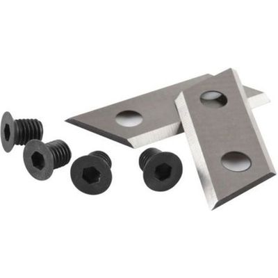 Ryobi Tête Double Lames Dentelées +10 Lames - Pour Herbes Hautes Et Épaisses - Compatible Nombreux Modèles
