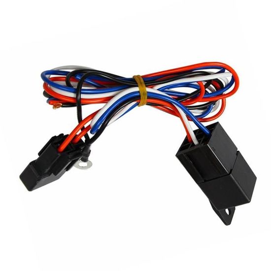 Connecteur DELPHI 6.3mm 2 Broches Pour Ventilateur Auto - Prise étanche Haute Courant Avec Câble (Ref: 15454358)