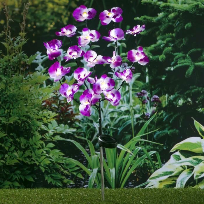 Lampe solaire à LED - EINNENFFER - Orchidée - 75 cm - Violet - Extérieur