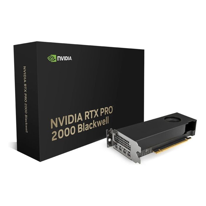 Carte Graphique PNY RTX PRO 2000 Blackwell – 16 Go GDDR7 - vue 5