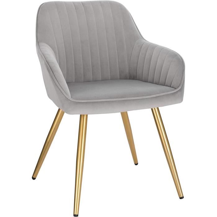 Chaise de Salle à Manger avec Dossier et Accoudoir Chaise de Cuisine en Velours Fauteuil Scandinave Gris Clair 1023BY-1