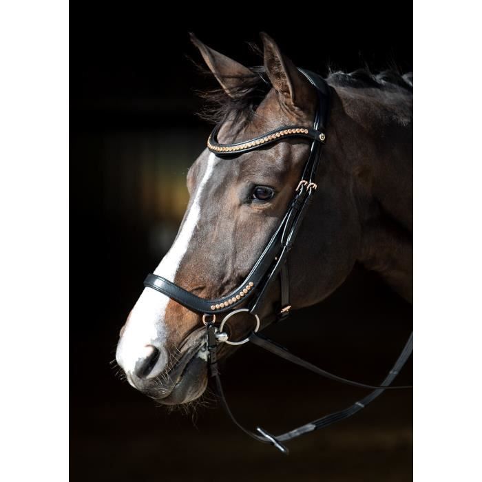 Comparer les prix de Bridons anatomique Harry's Horse Rosegold - zwart - Poney