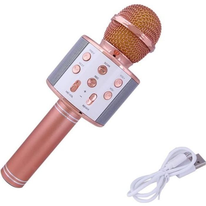 Microphone Bluetooth Micro sans Fil à Main de Condensateur avec  Haut-parleur Portable Compatible avec iPhone PC Android IOS - Cdiscount TV  Son Photo