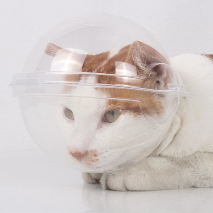 Meilleurs prix pour Muselière transparente pour chat - SURENHAP - Respirante - Réglable - Confortable