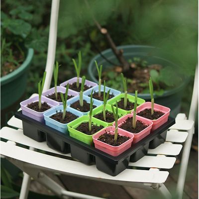 VINFUTUR Kit Semis 30 Plateaux 300 Trous + Étiquettes + Outils - Pots Fibres Pour Fleurs Légumes Et Plantes