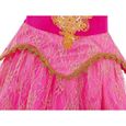 AmzBarley Filles Manches Longues déguisement Arlo Princesse en Tulle Costume Robe Cosplay Cadeau Carnaval Halloween Noël 2-10ans-2