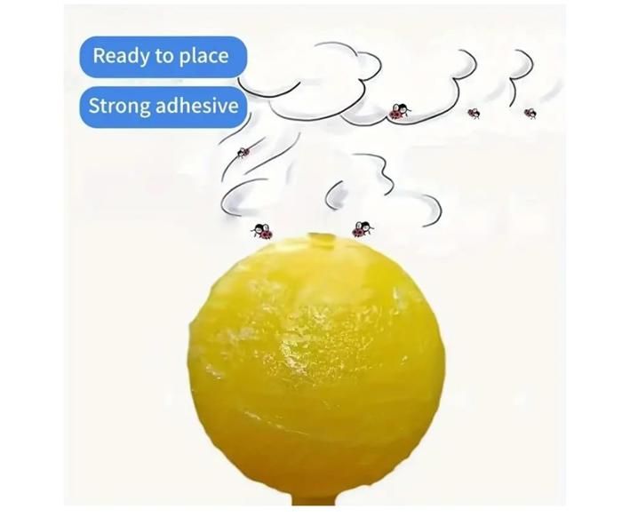 Lot de 8 pièges à Mouches de Fruits Jaunes Boules d'insectes Lot de 8 pièges à Mouches de Fruits Jaunes Boules d'insectes