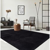 Tapis de Salon ou chambre en noir 80x150 | Tapis poil ras moderne et doux | Rectangulaire | Interieur | Lavable  - The Carpet Loft