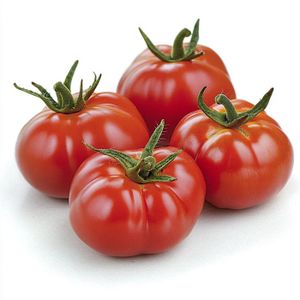 ☺10 sachets de 20 graines de tomates anciennes ☺10 sachets de 20 graines de tomates anciennes