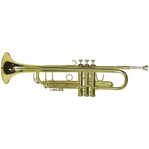 Trompette en Laiton Trompette Plate en Laiton pour Instrument à Vent Trompette Music en 3 Couleurs différentes 