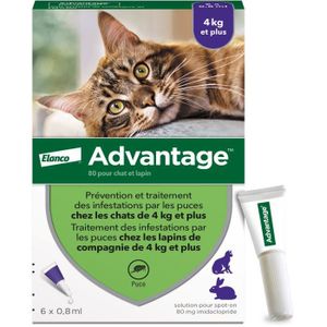 ANTIPARASITAIRE ADVANTAGE Solution Antipuce Chat Lapin +4kg 6 pipe