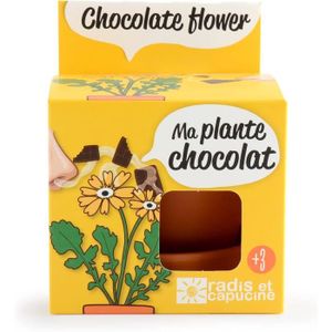 GRAINE - SEMENCE Plante Chocolat À Faire Pousser - Pot 8 Cm[z183]