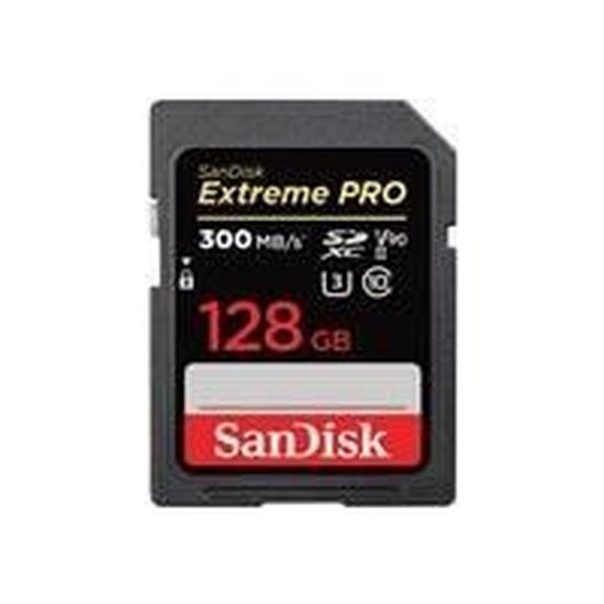 Carte mémoire flash - SANDISK -  - 128GB -  -  (SDSDXDK-128G-GN4IN)