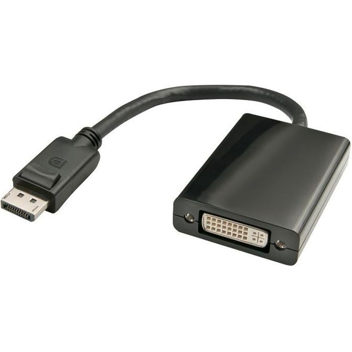 Périphériques Accessoires Adaptateur DisplayPort vers DVI-I - 20cm