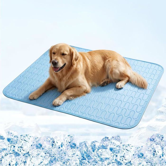 Tapis Rafraîchissant pour Chien Auto-Refroidissant – Coussin Rafraîchissant Été en Matériau Non Toxique et DouxBleu55x70cm