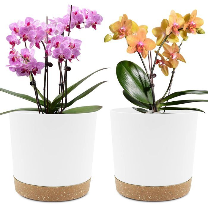 Lot de 2 pots de fleur intérieur 20.3 cm - plastique blanc avec trous de drainage et soucoupe amovible