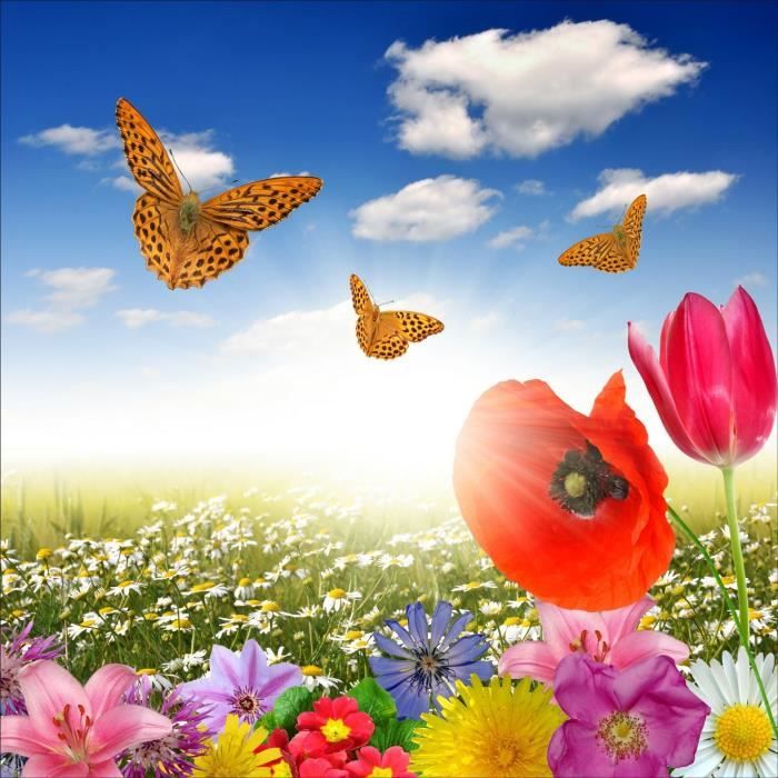 artzy Sticker Mural Salon Fleurs De Papillons à prix pas cher