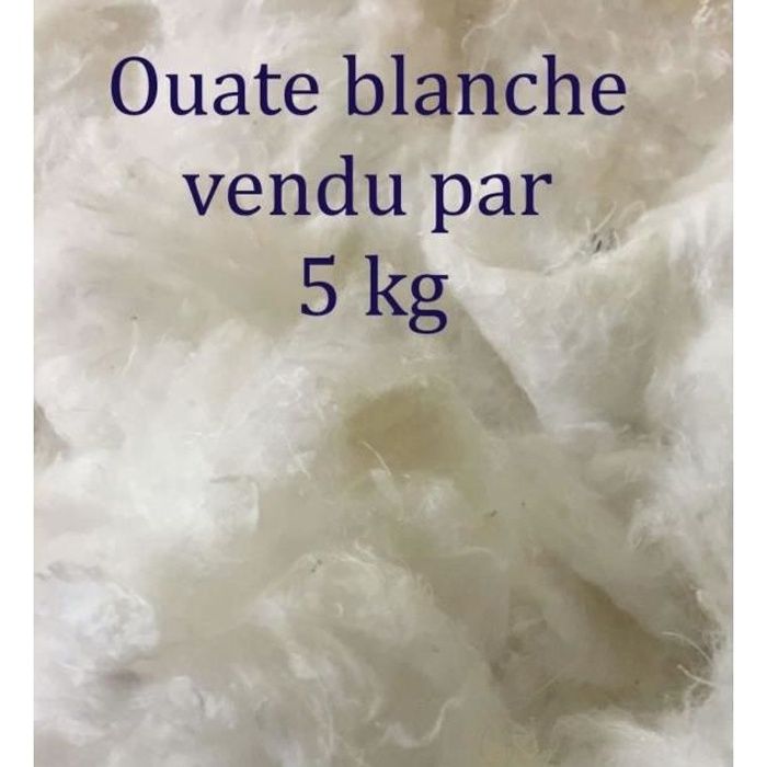Ouate de Rembourrage 5kg de Ouate Cellulose Fibres Textile - Cdiscount  Beaux-Arts et Loisirs créatifs