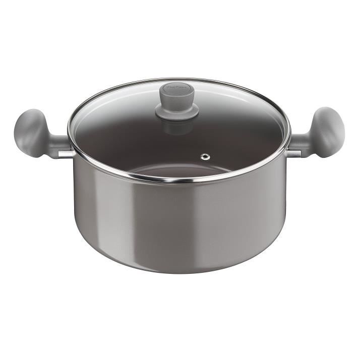 24 cm Iron Tefal C9934602 Ceramic Control GV5 Faitout avec Couvercle Aluminium