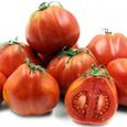50 Graines de Tomate Red Pear - légume ancien jardin potager - semences paysannes-1