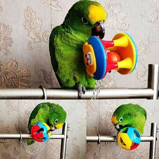 Jouet Avec Chaine Pour Perroquet Mignon Oiseau De Compagnie Boule A Macher En Plastique Cage Pour Perroquet Perruc 2 Uo5052 Cdiscount Jouet Avec Chaine Pour Perroquet Mignon Oiseau De Compagnie Boule A Macher En Plastique Cage Pour Perroquet Perruc 2 Uo5052 Cdiscount