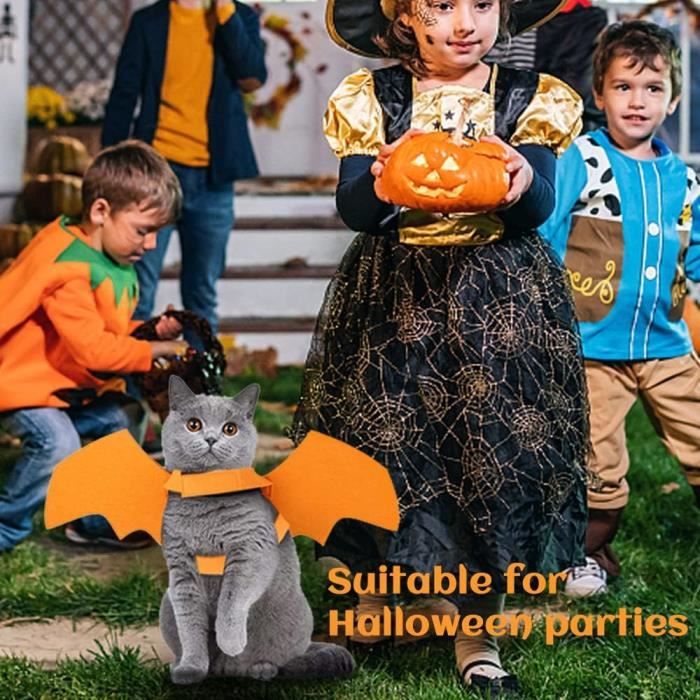 Costume D'Halloween Chien Chat Vampire - Cape Rouge Et Noir, Sangle Réglable, Pour Petit/moyen Animal, Fête Déguisée