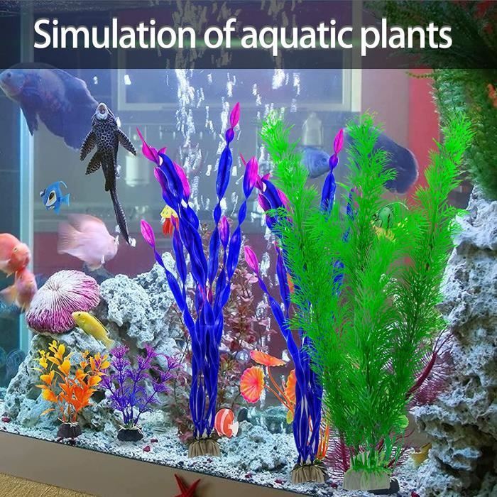 Plantes vivantes d'aquarium lot de 60 plantes en 9 variétés à racines et  tiges 2 clado en + - Cdiscount Animalerie