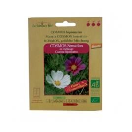 GRAINES BIO -COSMOS SENSATION EN MELANGE