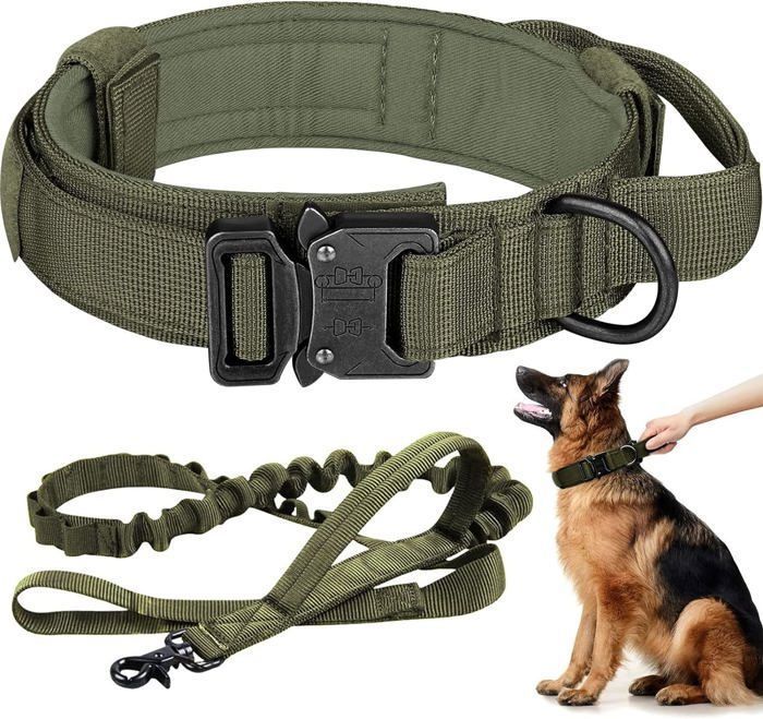 Collier Tactique Réglable Pour Chien Avec Poignée De Contrôle Et Boucle En Métal Livré Avec Une Laisse Élastique M(36-48cm) Vert