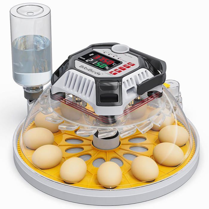 Couveuse Automatique 16 Œufs – Retournement + Humidification Auto, Pour Poules, Canards, Cailles