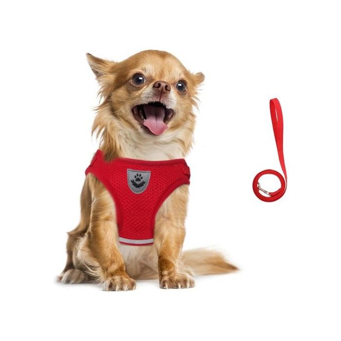 Harnais et Laisse pour Chiens Ensemble Harnais Rembourré en Mesh Doux pour Chiots et Chats Veste Respirant Réglable