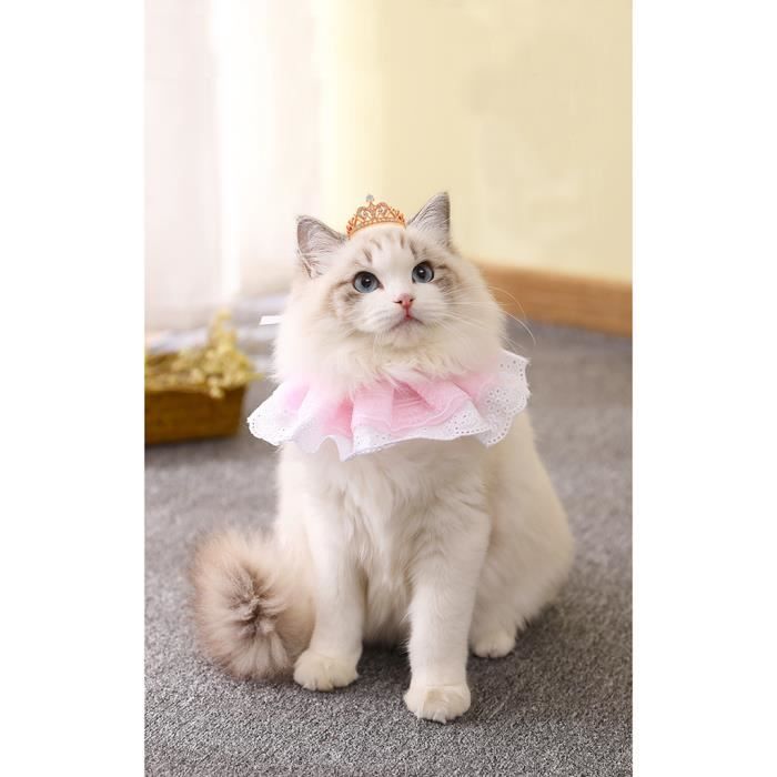 Collier Anti Fugue Cloture Anti Fugue Pack Anti Fugue Collier Bandana Chat 1 Piece Achat Vente Anti Fugue Cloture Collier Bandana Chat 1 Piece Cdiscount Collier Anti Fugue Cloture Anti Fugue Pack Anti Fugue Collier Bandana Chat 1 Piece Achat Vente Anti Fugue Cloture Collier Bandana Chat 1 Piece Cdiscount