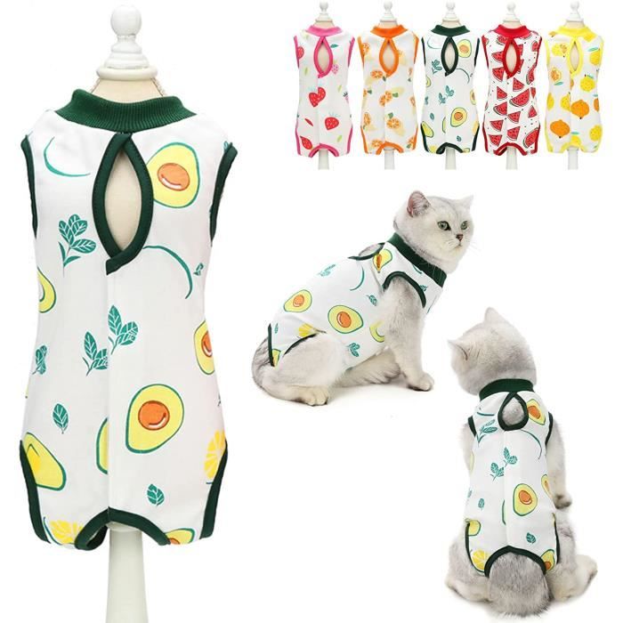 Gilet de recuperation chat online
