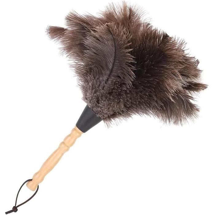 Plumeau Autruche, Plumeau Poussiere Plume avec Poignée Filetée, Ostrich — free download