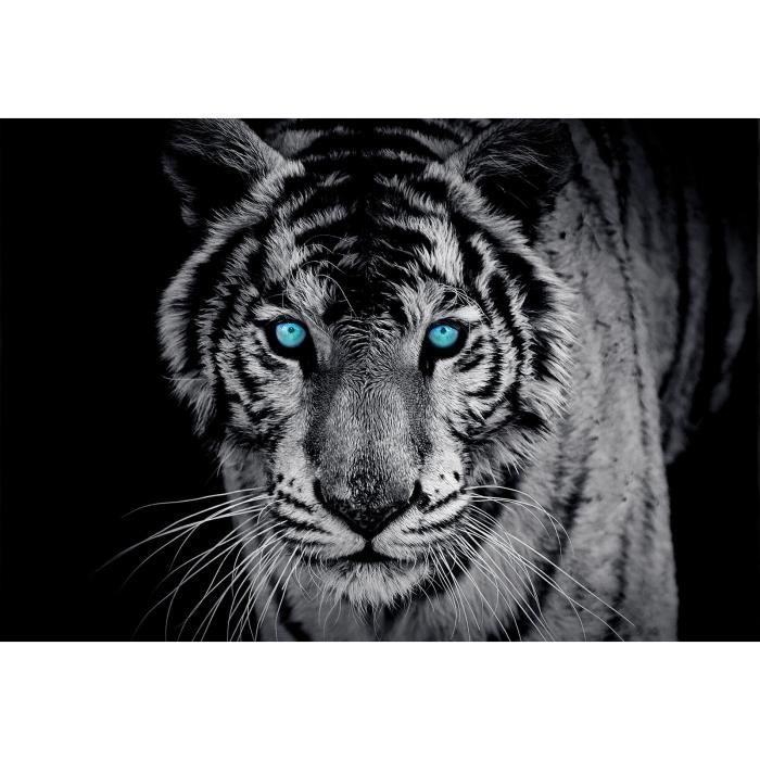 Tableau Impression Toile - Tigre Animaux - Déco Murale - Toile Intissé - Marque Murando