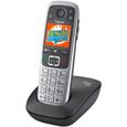 GIGASET Téléphone Fixe E560 Silver-1