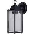 Applique extérieure LEDVANCE Endura® Classic Lantern M noir - 1x E27 LED - Aluminium - 29.3 x 10.5 x 15 cm-0