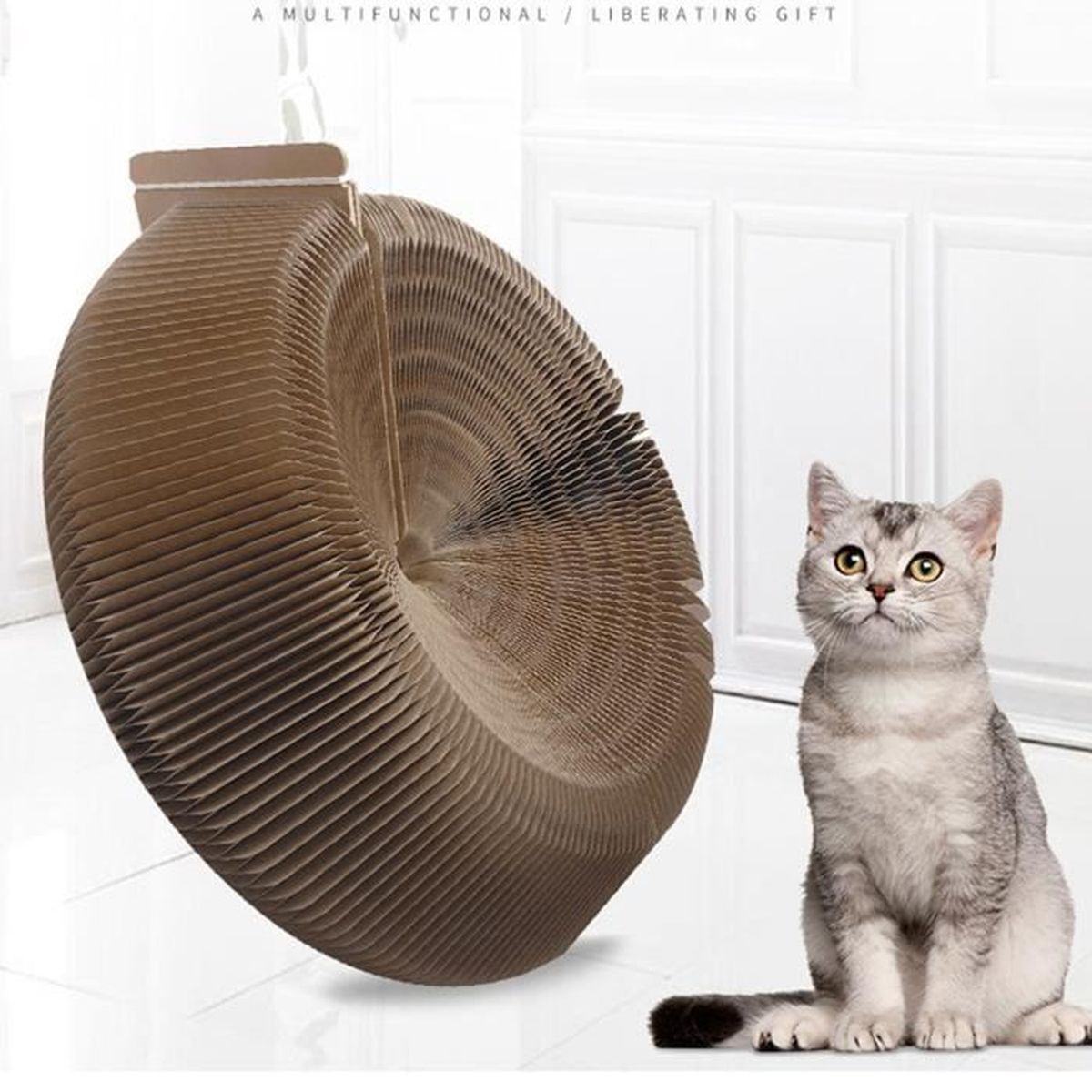 Tableau Magnétique Pliable En Cuir Pour Entraîneurs De Basket-ball